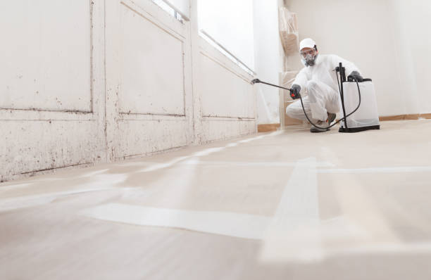 24/7 Emergency Mold Remediation experts in New Hope, PA